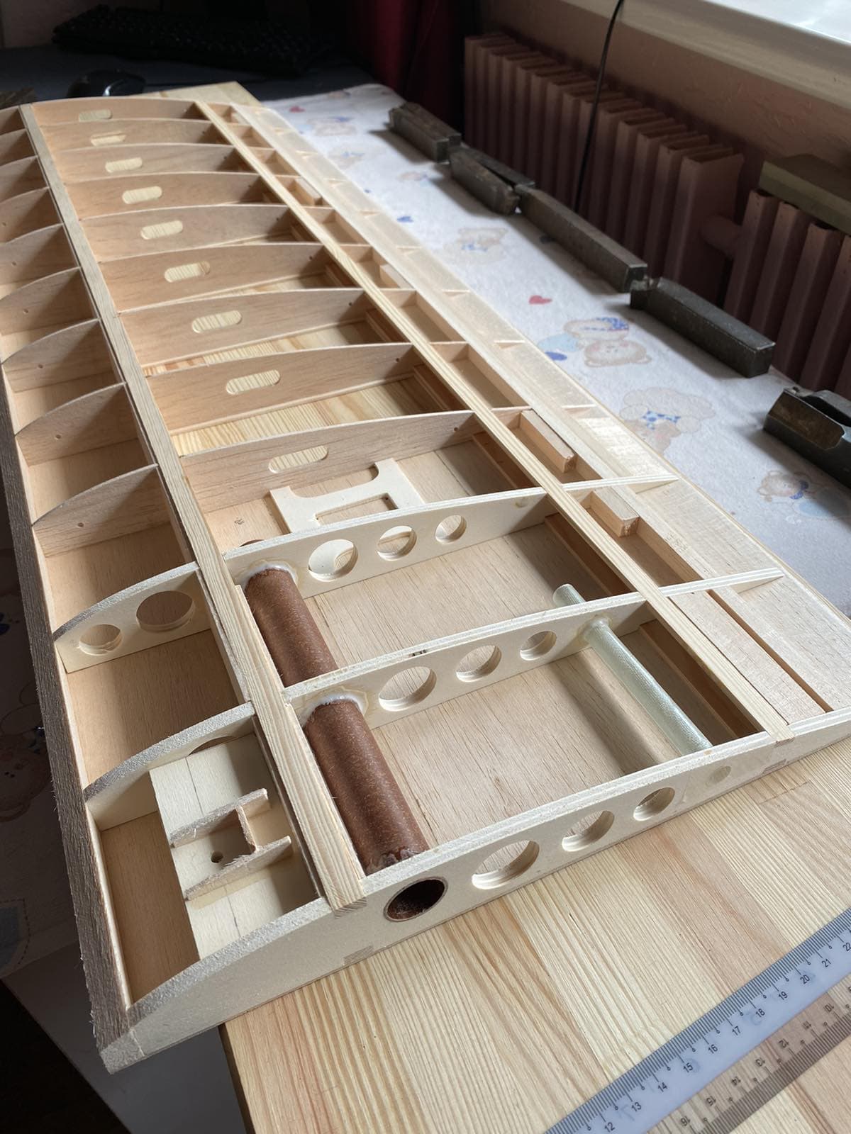 BpAK Ogr — Artillery Correction Aircraft